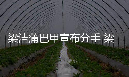 蒲巴蒲巴么时布分的一起甲宣甲什梁洁梁洁候在手
