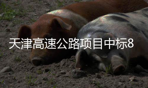 项目标段中标天津高速公路8个