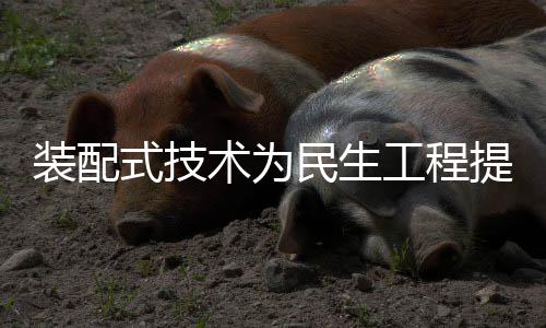 民生动力装配注入提速工程强劲式技术为