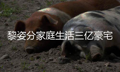 恩爱亿豪与富宅内庭生景曝黎姿分家活三豪老光 公很
